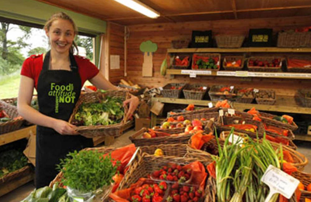 Read more about the article Local food is for life, not just for Covid